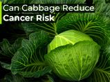 Studies Show Cabbage Can Reduce The Risk Of Certain Cancers
