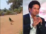 Sachin Tendulkar Shares Heartwarming Video Of A Differently Abled Boy Playing Cricket
