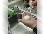 This Viral Video Shows A Cool Technique To Perfectly Peel Hard-Boiled Egg
