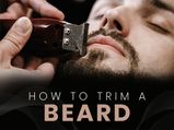 How To Trim Your Beard Like A Pro- The Easy Guide