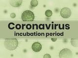 How Long Is The Incubation Period Of Coronavirus?