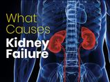 World Kidney Day 2022: What Causes Kidney Failure And How It Can Be Treated