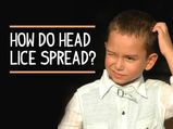 Head Lice: How Do They Spread? Symptoms, Treatment and Prevention