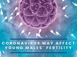 COVID-19: Does The Coronavirus Affect Male Fertility?