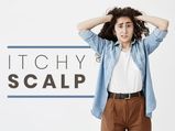Itchy Scalp (Scalp Pruritus): Causes, Symptoms, Diagnosis, Treatment And Prevention