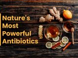 25 Nature's Most Powerful Antibiotics, According To Experts