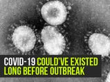 COVID-19: WHO Official Says The Virus Could Have Existed Long Before Outbreak