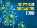 COVID-19: Six Types Of Coronavirus With Specific Symptoms