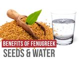 Fenugreek Seeds And Fenugreek Water For Good Health- All You Need To Know
