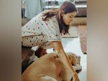 Anushka Sharma Gives Us A Soothing PJ Set Goal As She Plays With Her Cute Dog