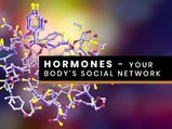 Know From A Nutritionist About Hormones: Your Body’s Social Network