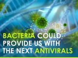Bacteria Part Of The Immune System Could Provide Antivirals Against COVID-19, Influenza