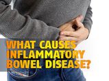 Inflammatory Bowel Disease: Causes, Symptoms, Risk Factors, Diagnosis And Treatment