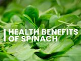 Spinach: Nutrition, Health Benefits And Recipe