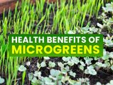 Microgreens: Nutrition, Health Benefits, Types And How To Eat