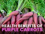 Purple Carrots: Health Benefits, Uses And Recipe