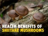 Shiitake Mushrooms: Nutrition, Health Benefits And Ways To Eat
