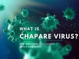 Chapare Virus: Human-To-Human Transmission Of Deadly Ebola-like Virus Confirmed
