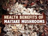Maitake Mushroom: Nutrition, Health Benefits, Side Effects and Recipe