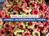 15 Amazing Health Benefits Of Jungle Jalebi/Madras Thorn
