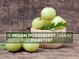 Is Indian Gooseberry (Amla) Good For Diabetes?
