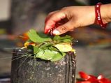 Here’s The Reason Why Lord Shiva Is Offered Bael Leaves
