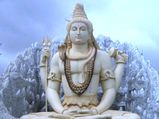 Maha Shivratri 2022: Offer These Flowers To Lord Shiva And Seek His Blessings