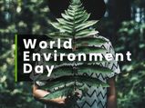 World Environment Day 2023: Know About The History, Theme And Significance Of This Day