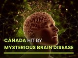Mysterious Brain Syndrome Reported In Canada, Algae To Be Investigated As Possible Cause