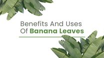 Banana Leaves: Medicinal Benefits And Traditional Uses