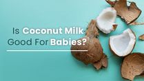 World Coconut Day 2022: Is Coconut Milk Safe For Babies And Children? Benefits, Risks And Recipes