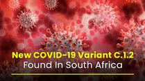 New COVID-19 Variant C.1.2 Found In South Africa: Everything About This New ‘Variant Of Interest’