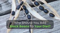 Why You Should Add Black Beans To Your Diet