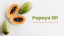 Papaya 101: Everything You Need To Know About The Fruit