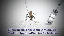 All You Need To Know About Mosquirix, The First Vaccine For Malaria Approved By The WHO