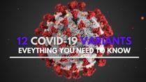 What Are The 12 COVID Variants Identified Till Now? How Are They Classified?