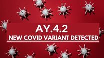 New Delta Plus Variant AY.4.2: Is Vaccine Effective Against It? Everything You Need To Know