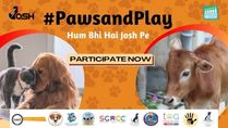 Josh App And MASH Project Foundation Launch #PawsAndPlay Campaign