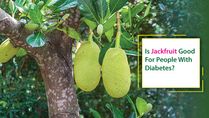 Is Jackfruit Good For People With Diabetes?