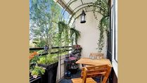 Expert Advice On Gardening: How To Decorate Small Balcony With Hanging Pots And Ladder Plants