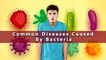 What Are The Common Diseases Caused By Bacteria In Humans?