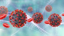 Omicron Coronavirus Variant Linked With High Risk Of Reinfection: Study