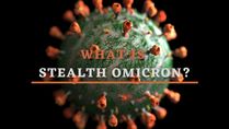 Stealth Omicron: What Is The Omicron BA.2 Sub Variant? Detection, Symptoms And Other Details