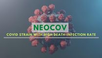 NeoCov: Wuhan Scientists Warn of New Coronavirus Strain With High Death, Infection Rate