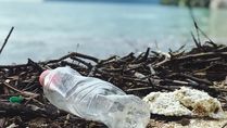 Disease-Causing Parasites Can Hitch A Ride On Plastics And Potentially Spread Through The Sea, New Research