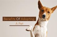 10 Health Benefits Of Adopting A Pet; Especially For Kids And The Elderly