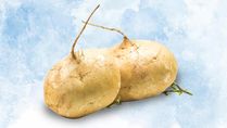 Managing Diabetes To Reducing Weight, Some Amazing Health Benefits Of Jicama