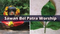 Sawan Bel Patra Worship: Ritual Rules, Worship Method, Mantra To Chant, And Significance