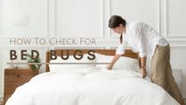 How To Check For Bed Bugs In Hotel Rooms