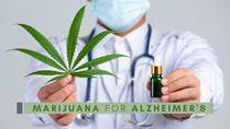 Marijuana May Become A Cure For Alzheimer's, Study